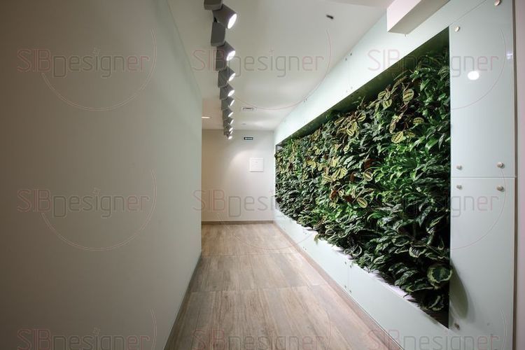   open space