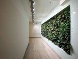   open space